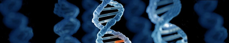 Genetic Testing Molecule - Newlife Fertility Centre