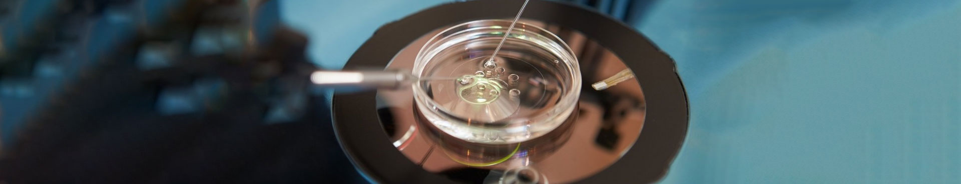 Embryo Donation Process In Ontario, Canada